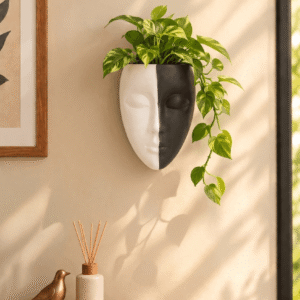 Ceramic face wall planter mounted on wall styled with trailing green pothos plant