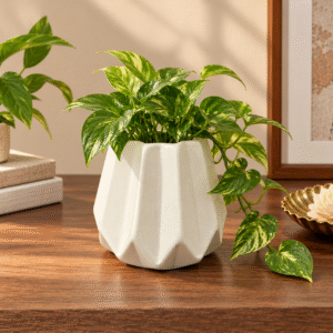 Cream ceramic vase styled on a wooden tabletop in a modern home interior